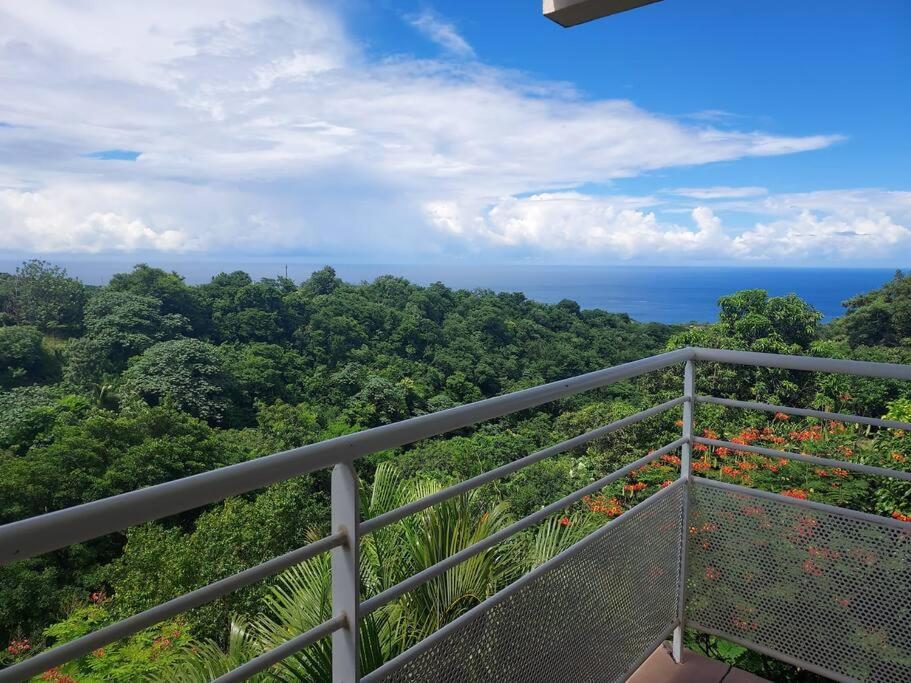 Grand Studio En Bas De Villa Avec Vue Sur Mer Au Carbet Le Carbet Exteriör bild