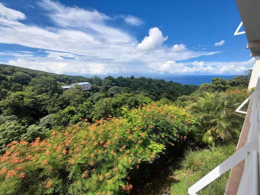 Grand Studio En Bas De Villa Avec Vue Sur Mer Au Carbet Le Carbet Exteriör bild